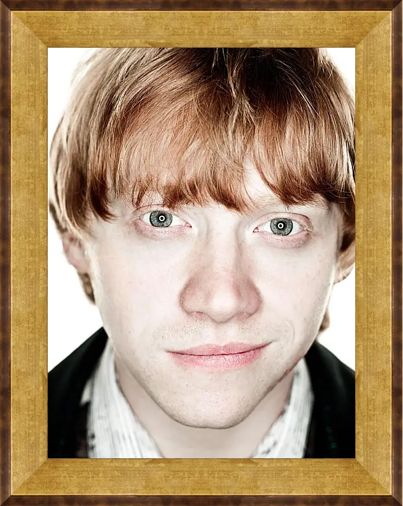 Картина в раме - Ron Weasley