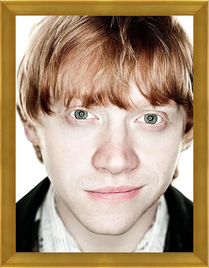 Картина в раме - Ron Weasley