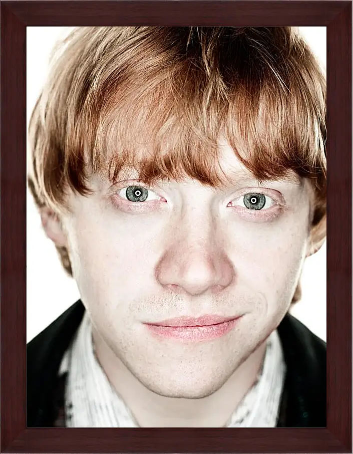 Картина в раме - Ron Weasley