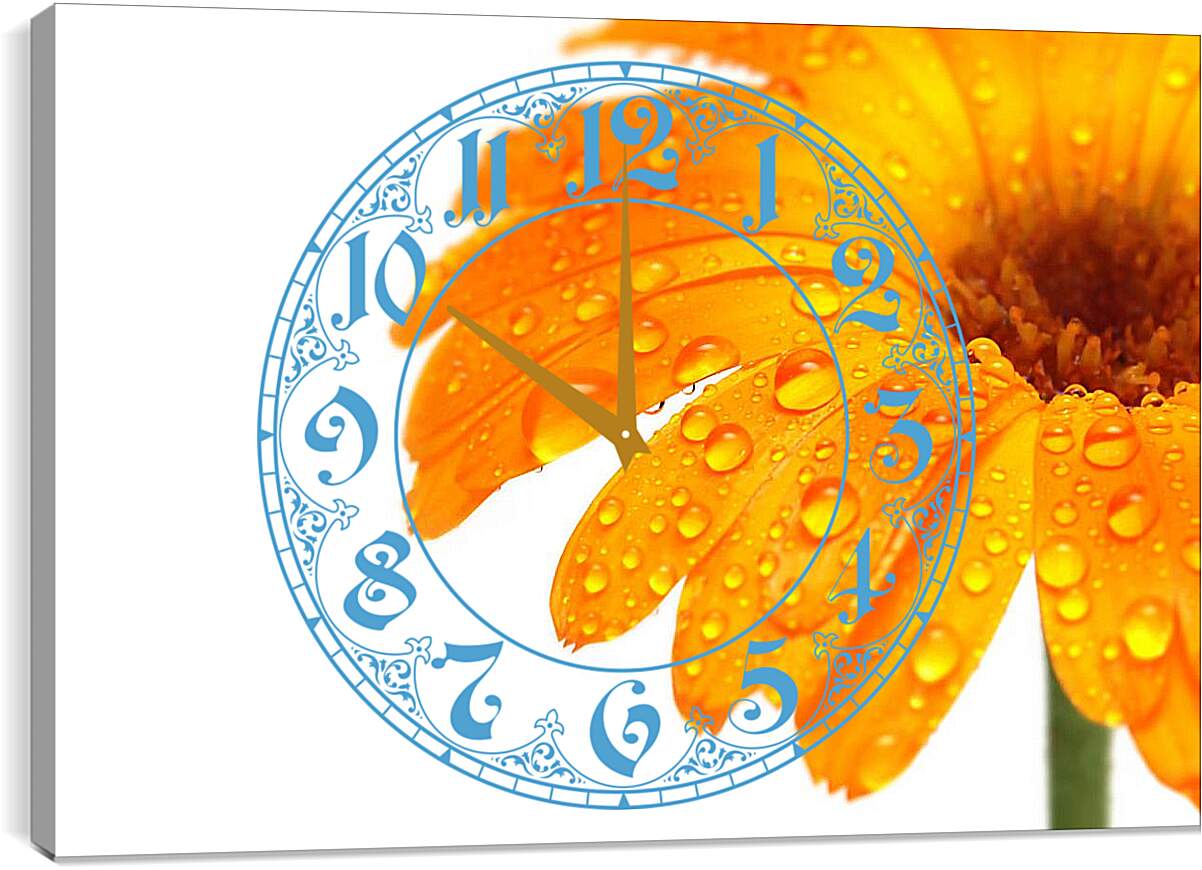 Часы картина - Оранжевый цветок в каплях росы