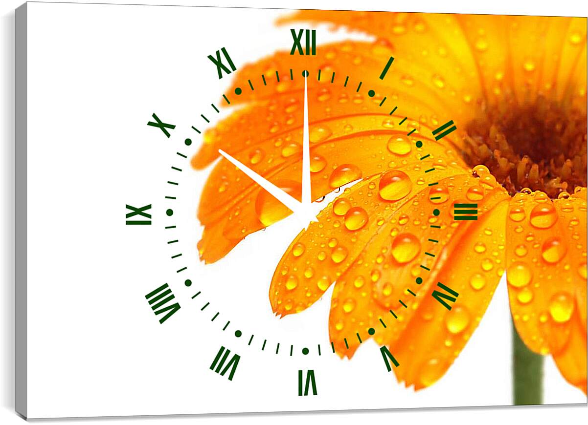 Часы картина - Оранжевый цветок в каплях росы