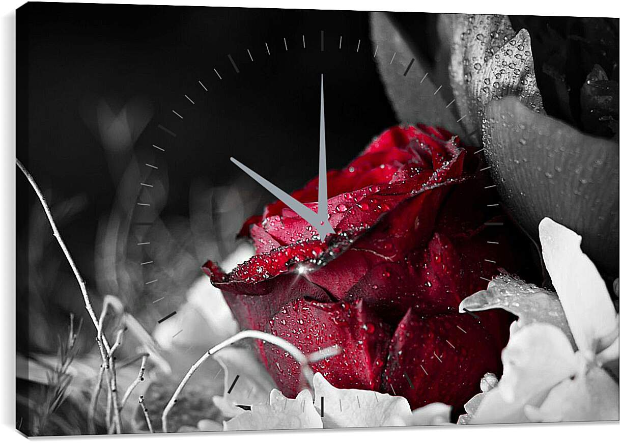 Часы картина - Красная роза в росе