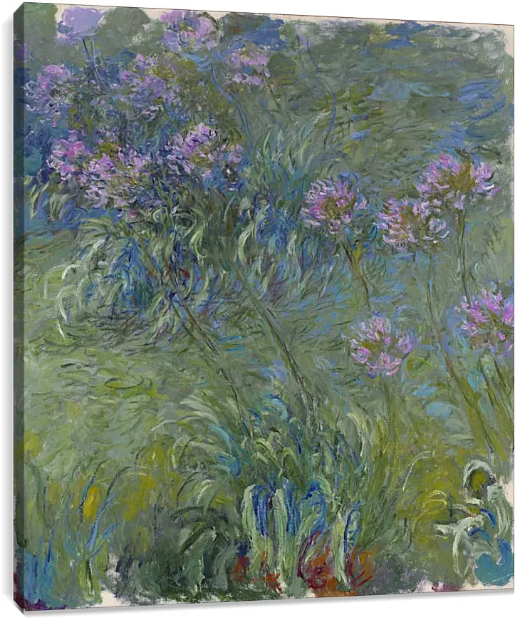 Постер и плакат - Agapanthus, 1914-17. Клод Моне