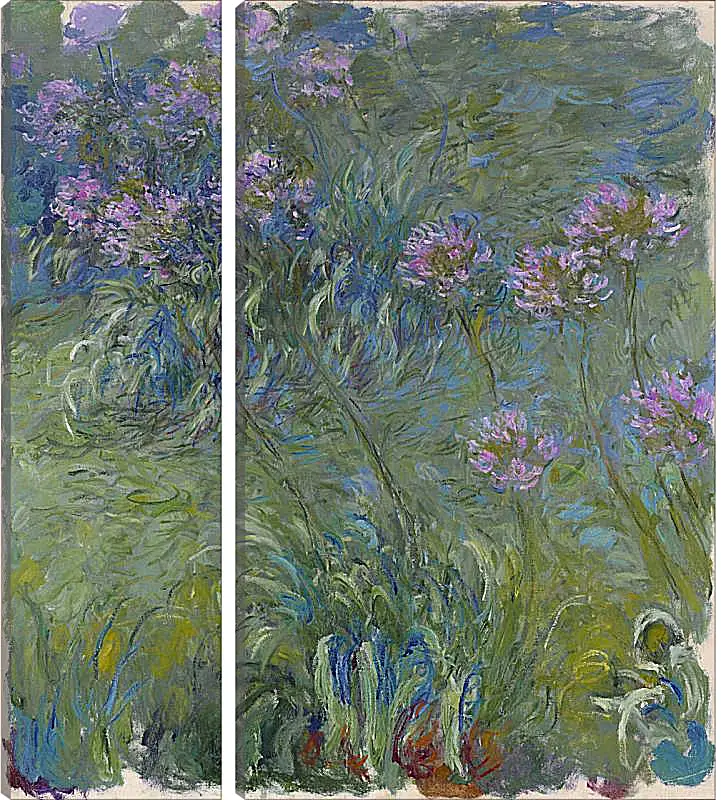 Модульная картина - Agapanthus, 1914-17. Клод Моне