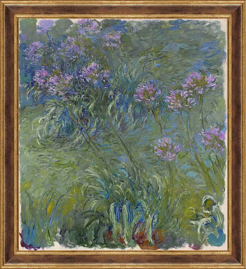 Картина в раме - Agapanthus, 1914-17. Клод Моне