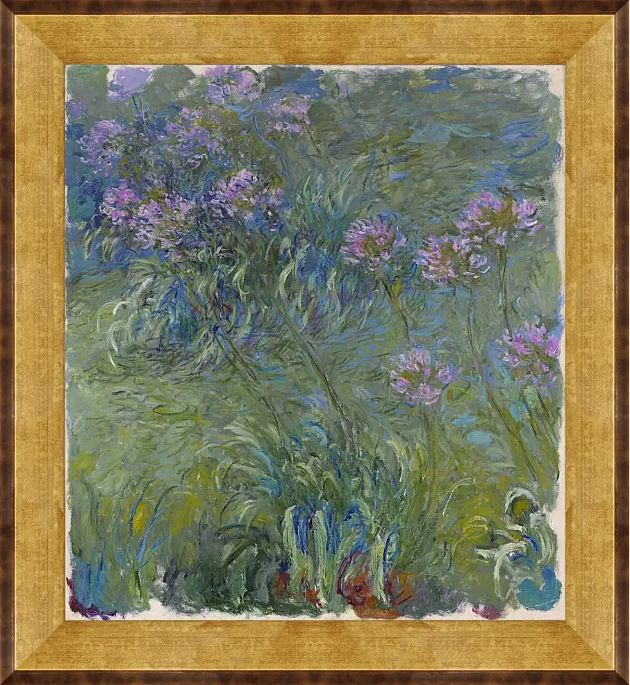 Картина в раме - Agapanthus, 1914-17. Клод Моне