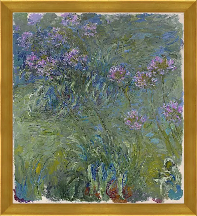 Картина в раме - Agapanthus, 1914-17. Клод Моне