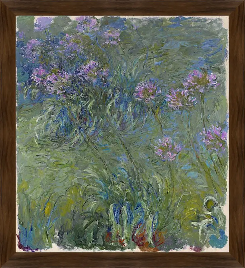 Картина в раме - Agapanthus, 1914-17. Клод Моне