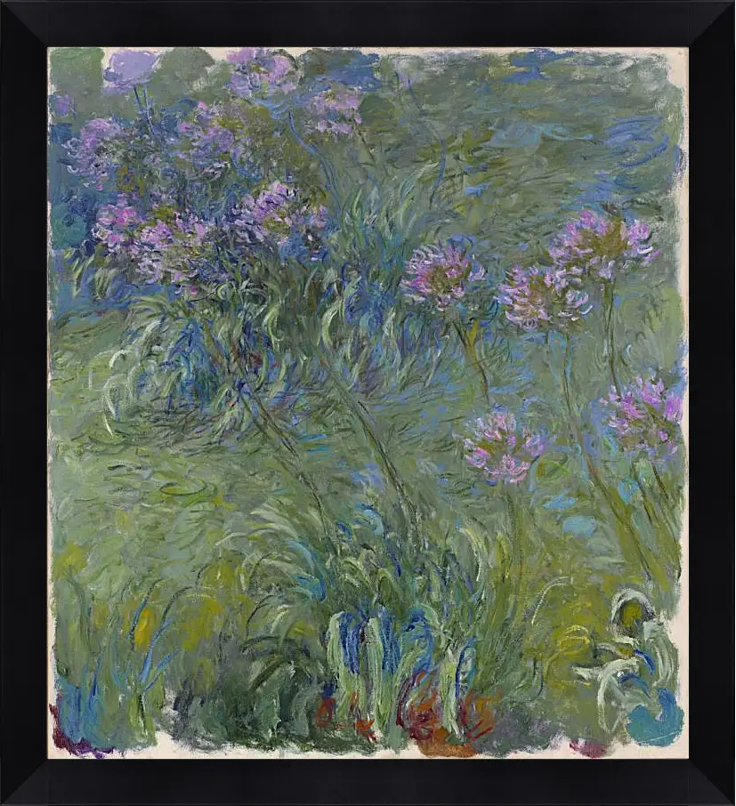 Картина в раме - Agapanthus, 1914-17. Клод Моне