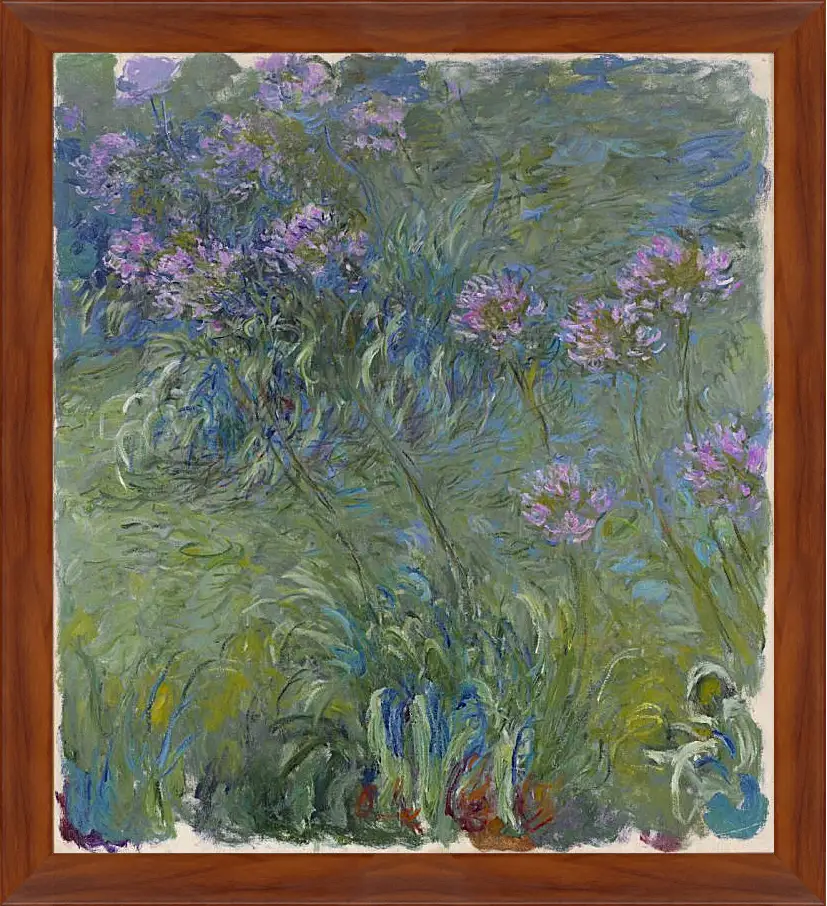 Картина в раме - Agapanthus, 1914-17. Клод Моне