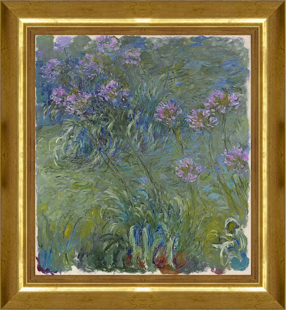 Картина в раме - Agapanthus, 1914-17. Клод Моне