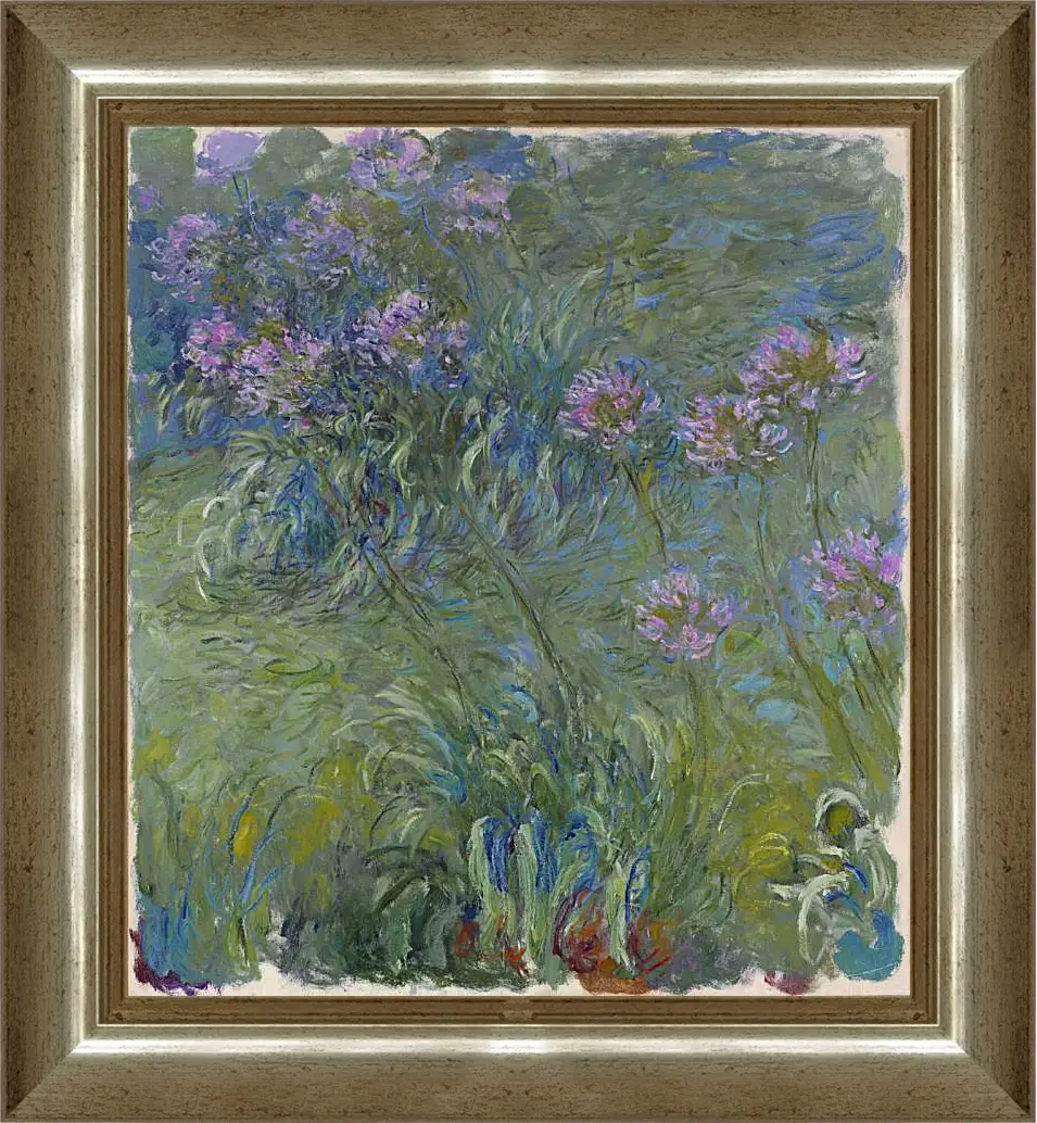 Картина в раме - Agapanthus, 1914-17. Клод Моне