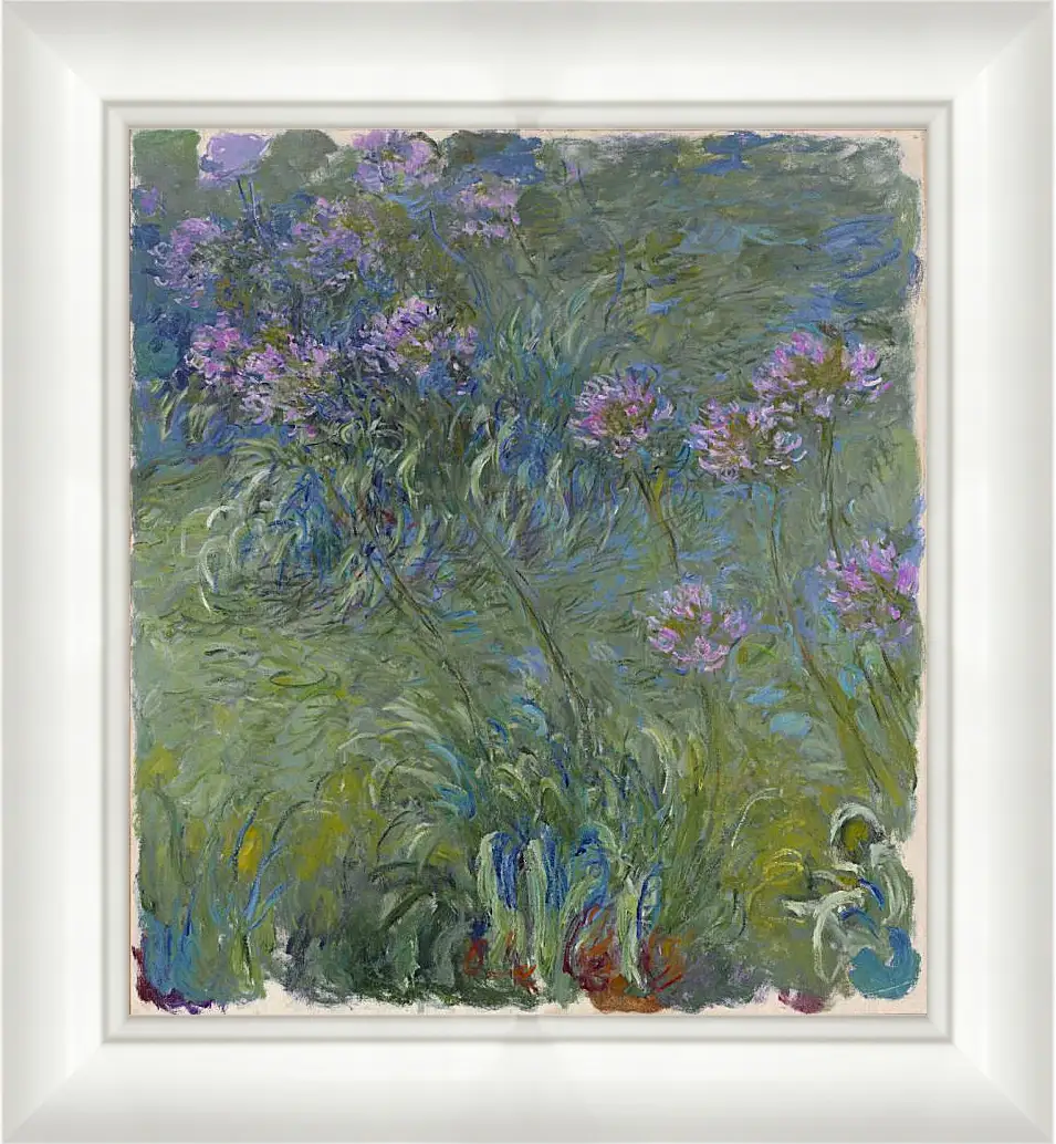 Картина в раме - Agapanthus, 1914-17. Клод Моне