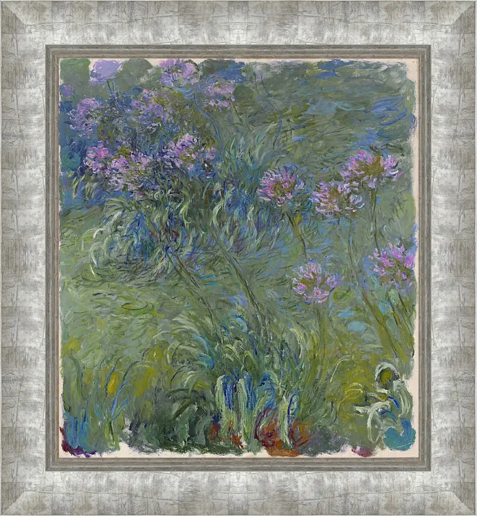 Картина в раме - Agapanthus, 1914-17. Клод Моне