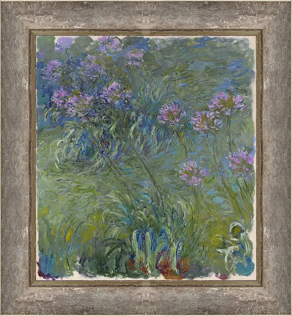 Картина в раме - Agapanthus, 1914-17. Клод Моне