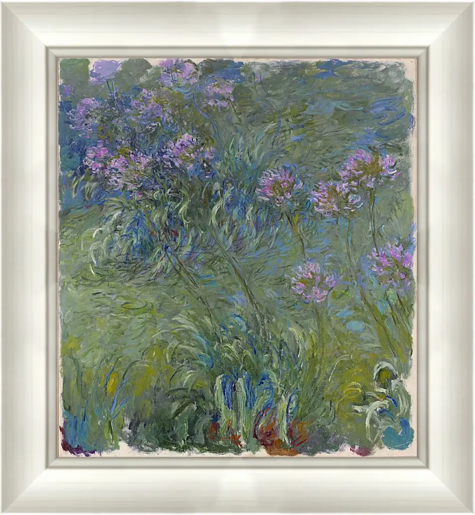 Картина в раме - Agapanthus, 1914-17. Клод Моне