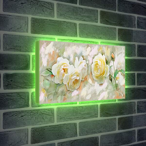 Лайтбокс световая панель - Белые розы