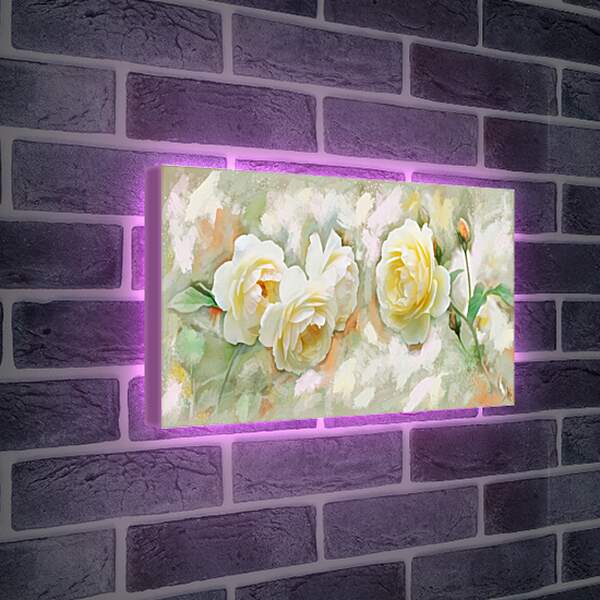 Лайтбокс световая панель - Белые розы