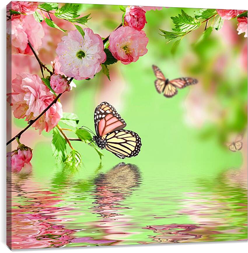 Постер и плакат - Бабочки над водой