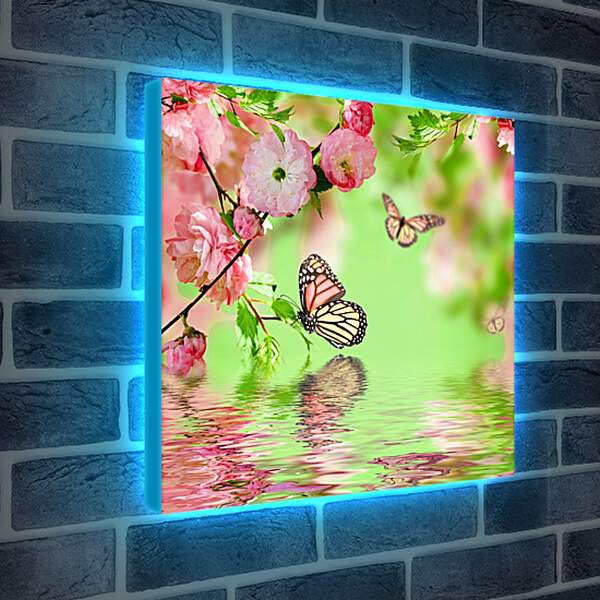 Лайтбокс световая панель - Бабочки над водой