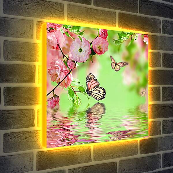 Лайтбокс световая панель - Бабочки над водой