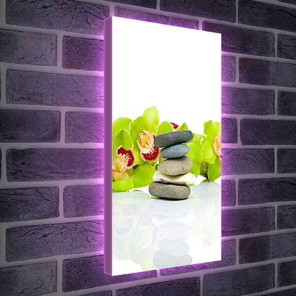 Лайтбокс световая панель - Зеленые цветы и камни