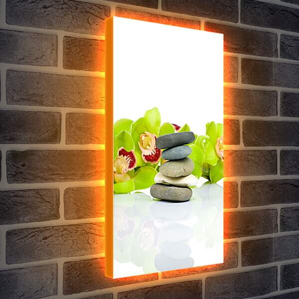 Лайтбокс световая панель - Зеленые цветы и камни