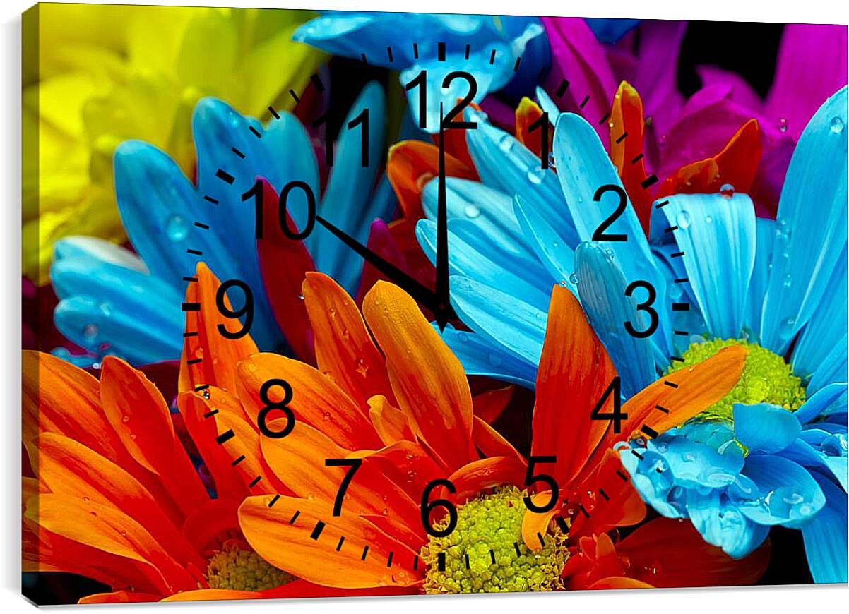 Часы картина - Разноцветные герберы