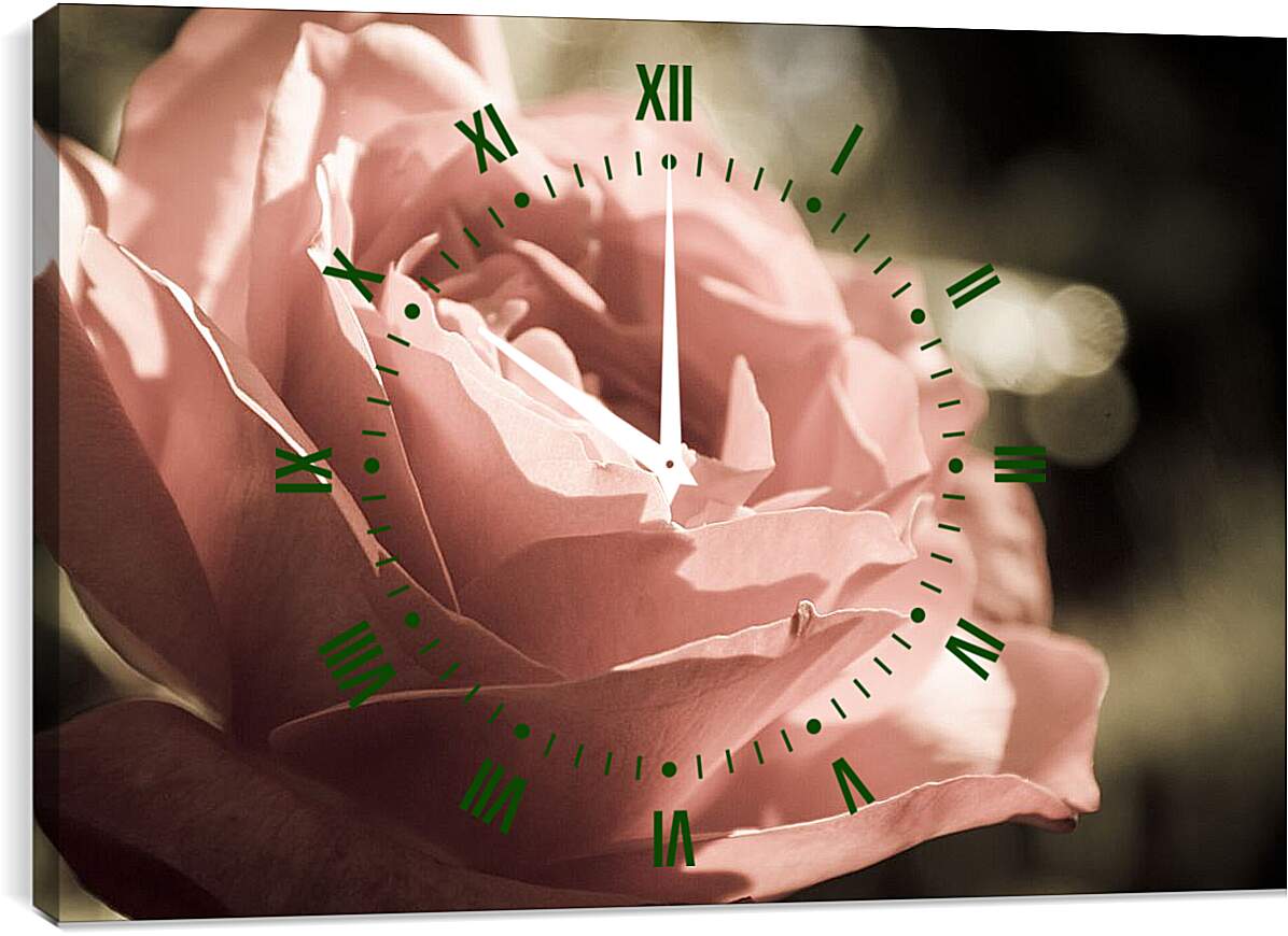Часы картина - Нежная роза