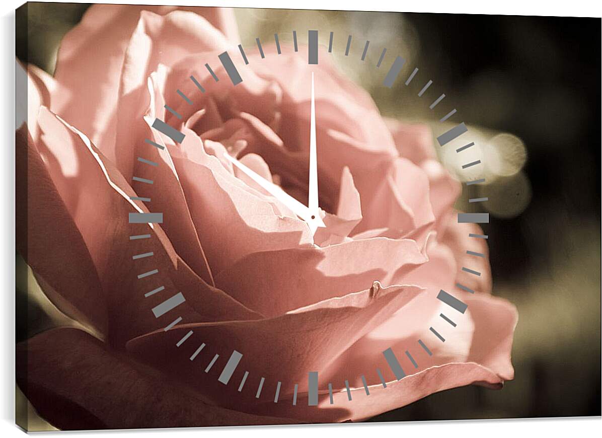 Часы картина - Нежная роза