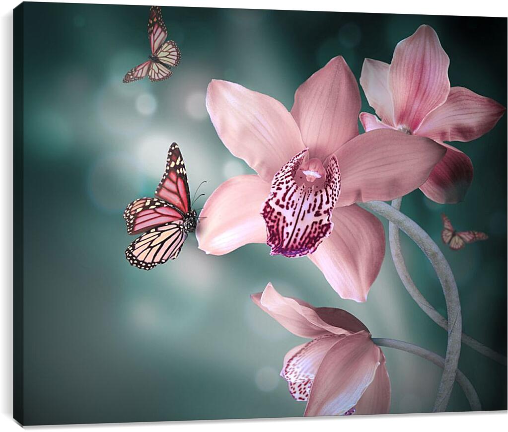 Постер и плакат - Нежно-розовые цветы и бабочки