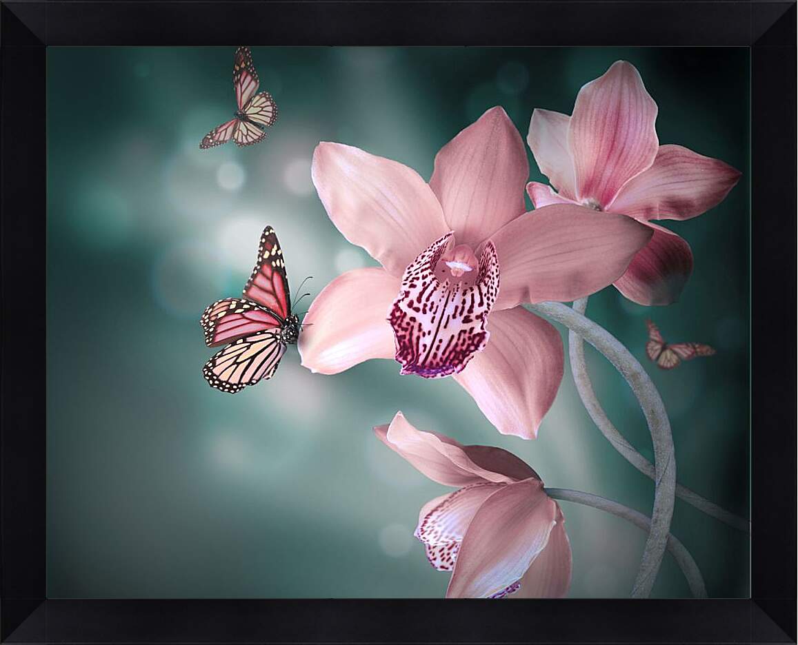 Картина в раме - Нежно-розовые цветы и бабочки