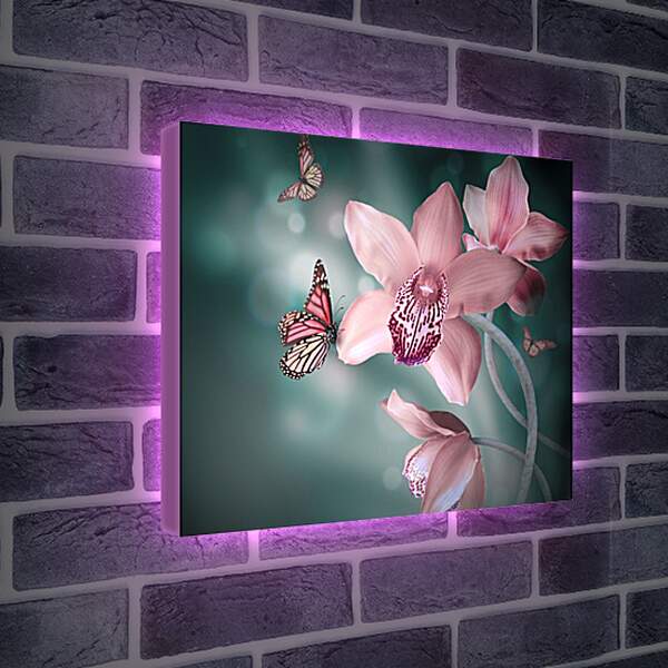 Лайтбокс световая панель - Нежно-розовые цветы и бабочки