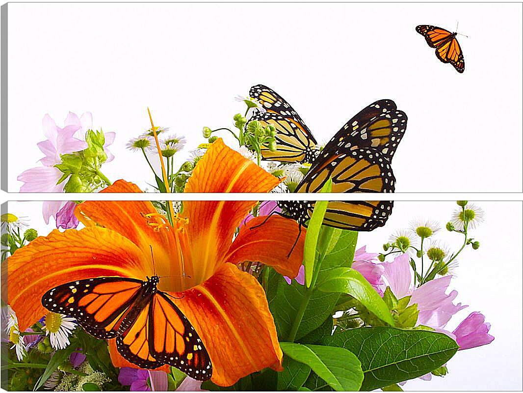 Модульная картина - Бабочки на цветке