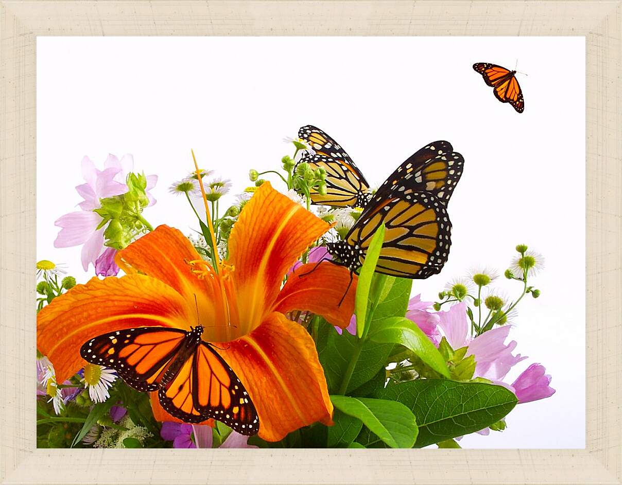 Картина в раме - Бабочки на цветке