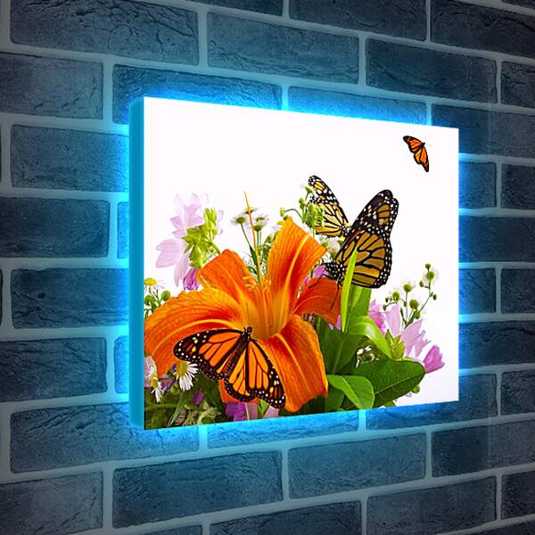 Лайтбокс световая панель - Бабочки на цветке