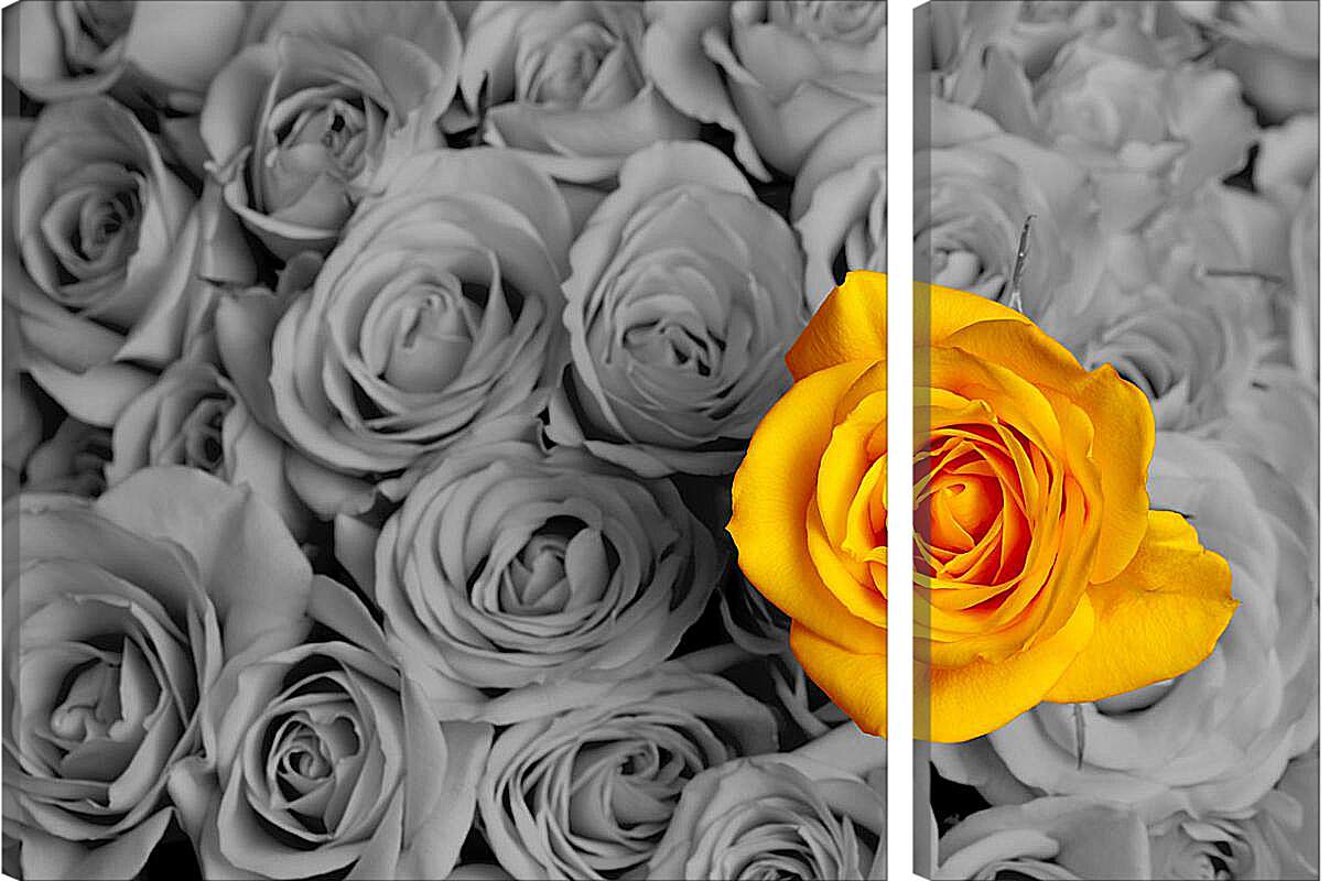 Модульная картина - Жёлтая роза