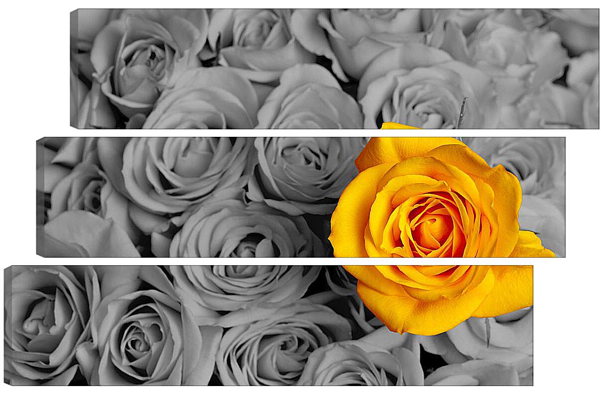 Модульная картина - Жёлтая роза