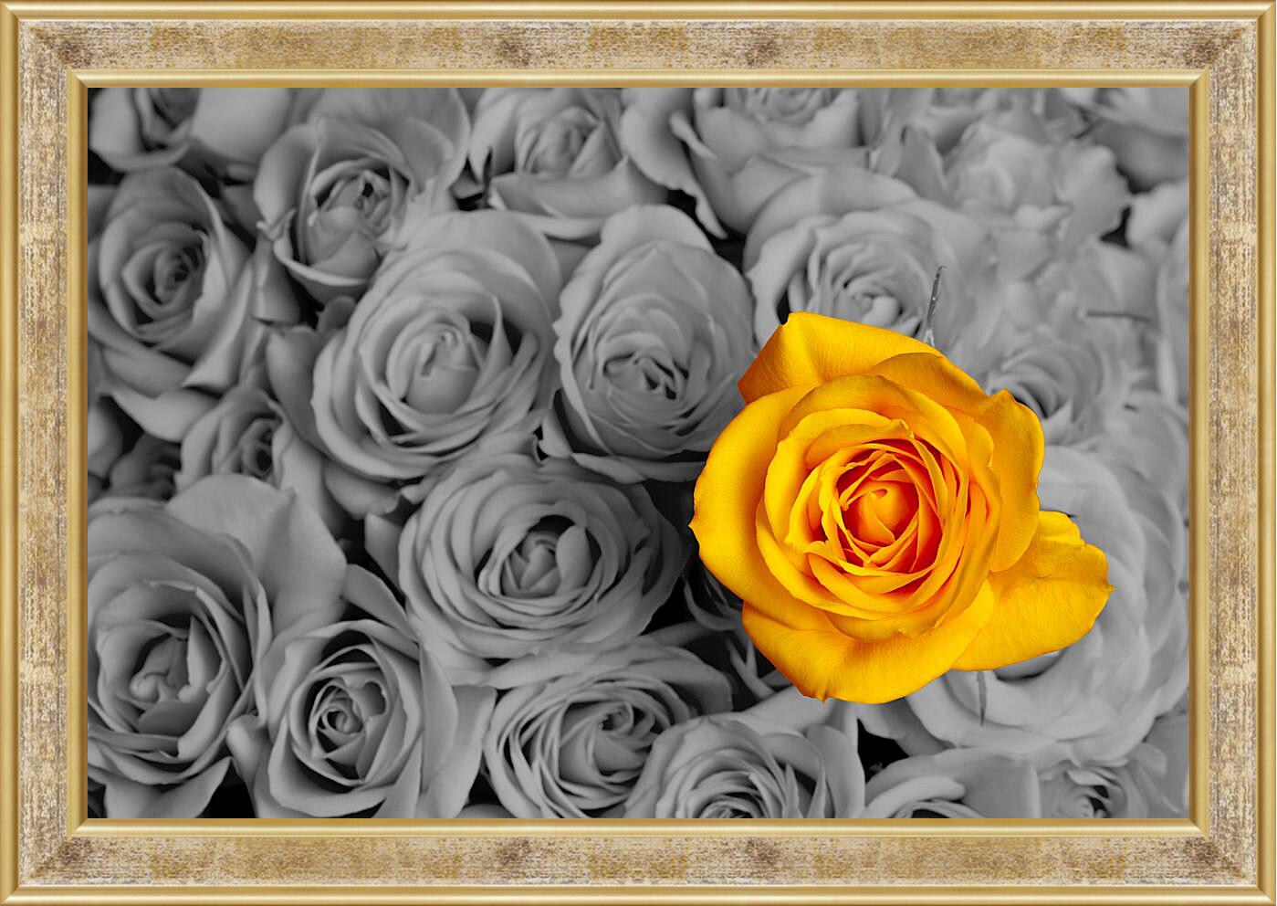 Картина в раме - Жёлтая роза
