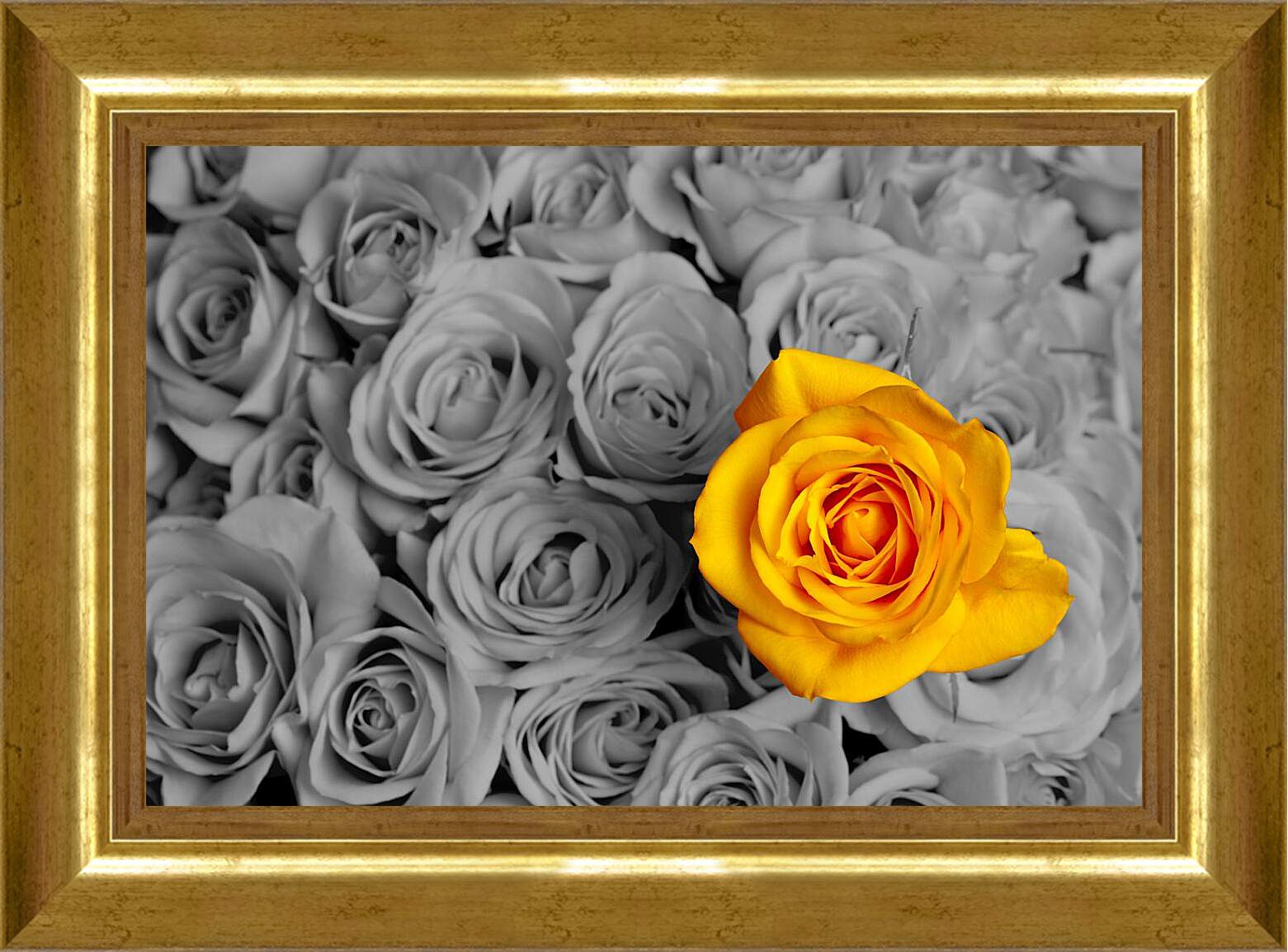 Картина в раме - Жёлтая роза