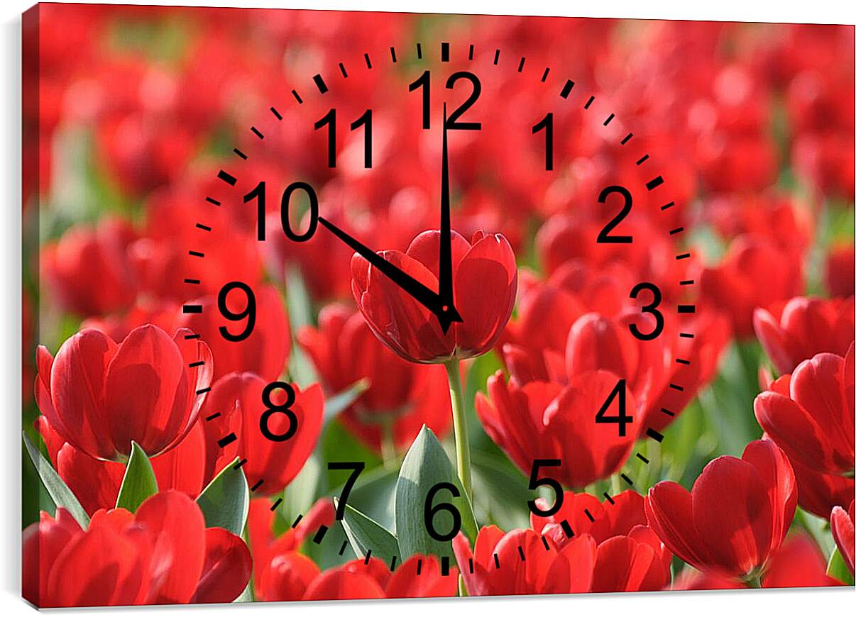 Часы картина - Красные тюльпаны
