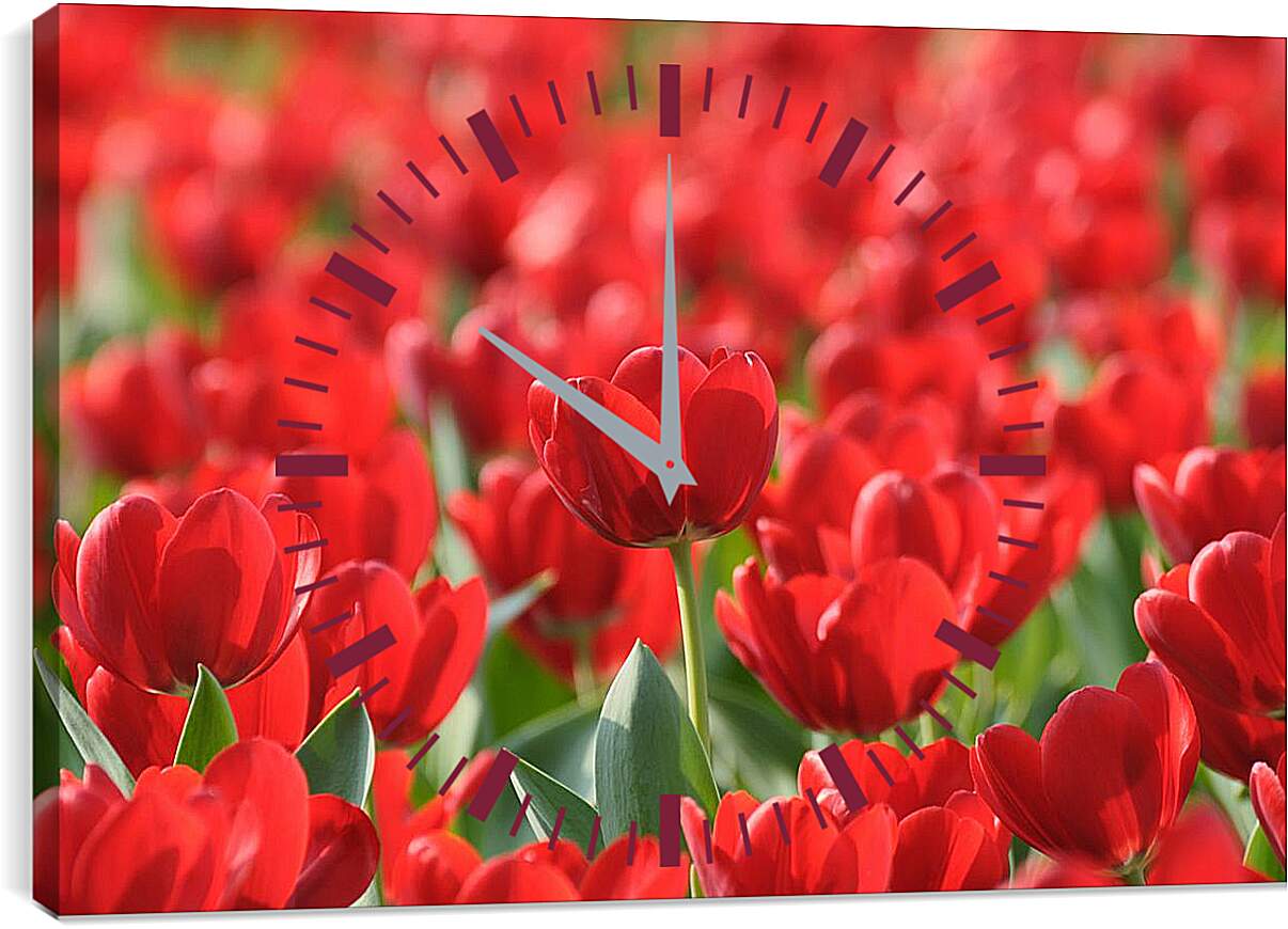 Часы картина - Красные тюльпаны