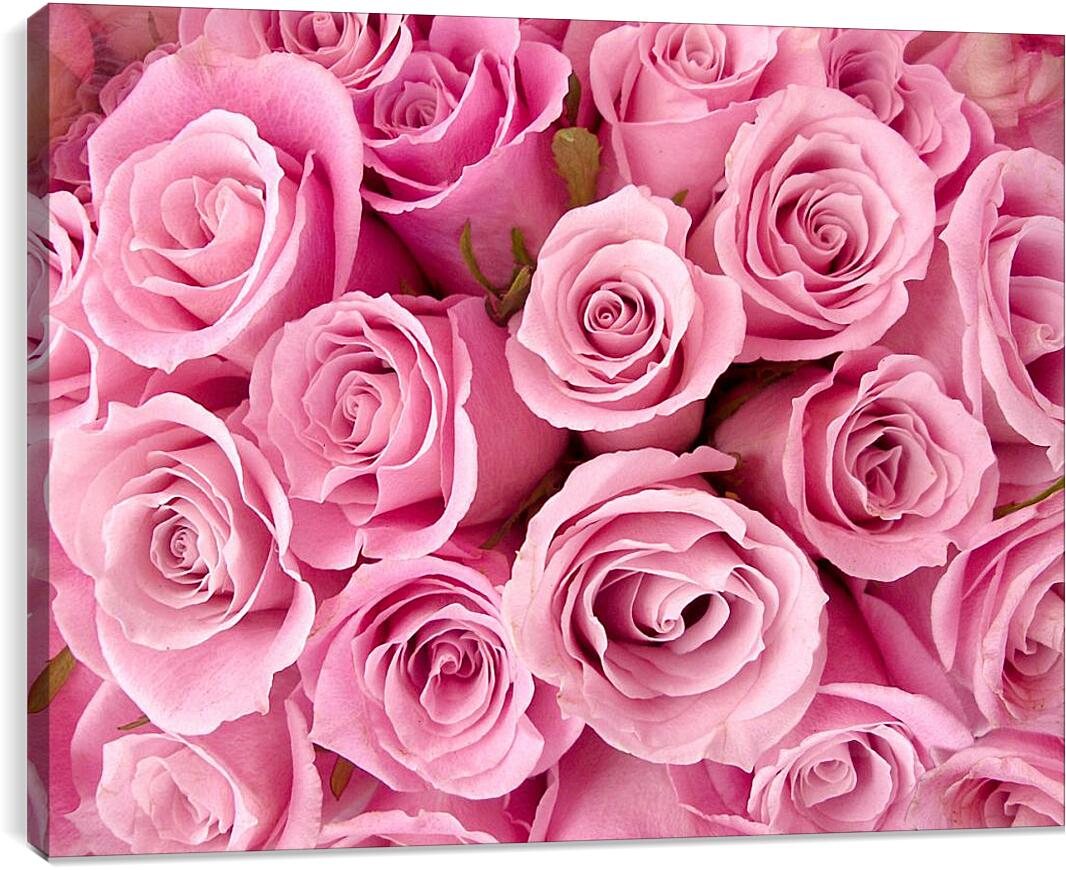 Постер и плакат - Букет розовых роз