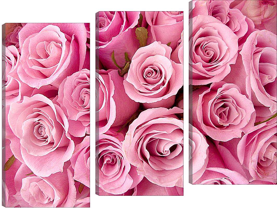 Модульная картина - Букет розовых роз