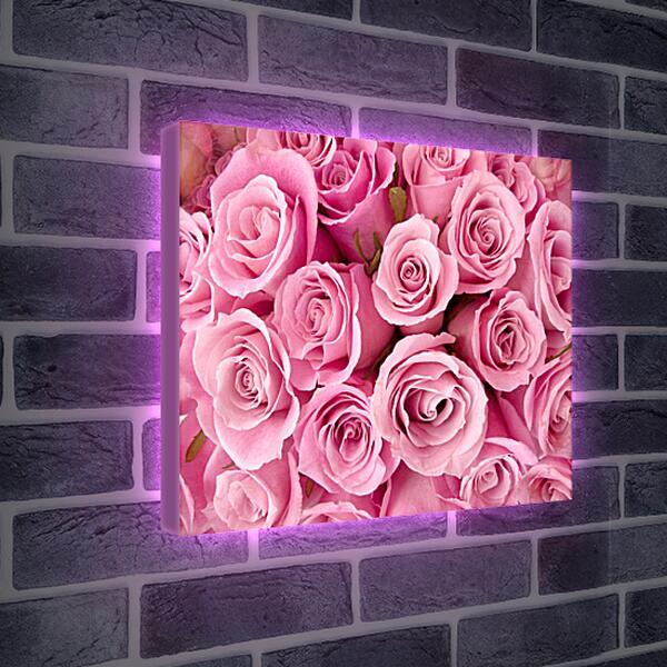 Лайтбокс световая панель - Букет розовых роз