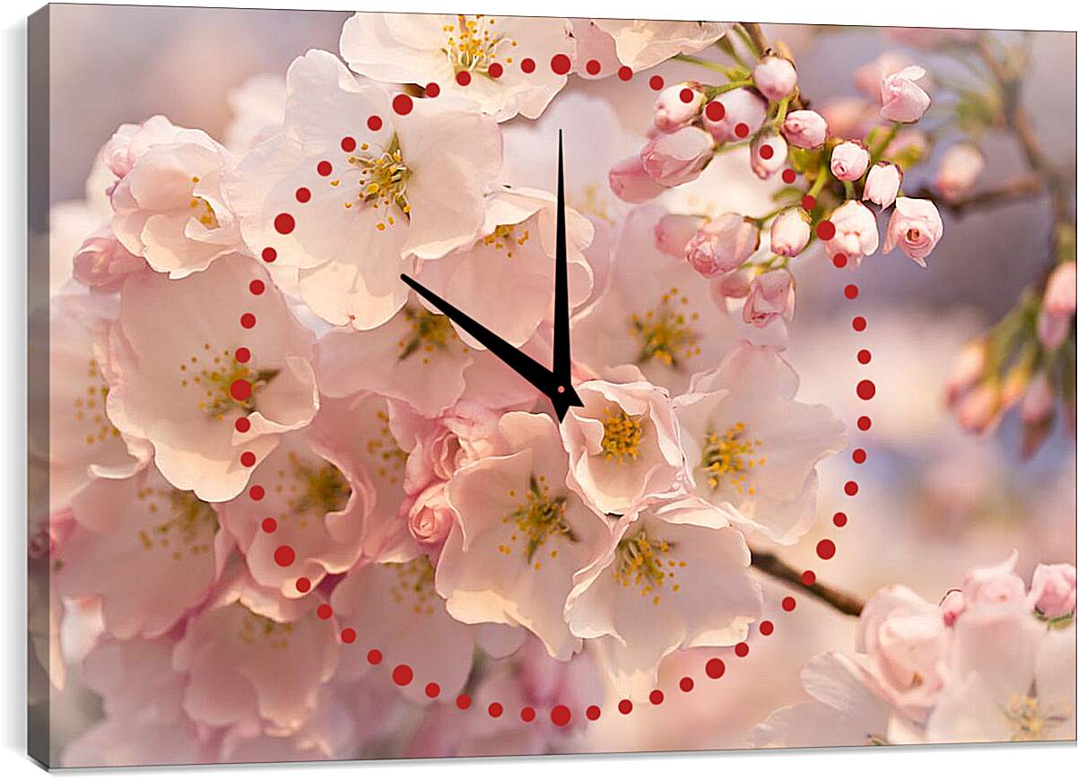 Часы картина - Цветение сакуры