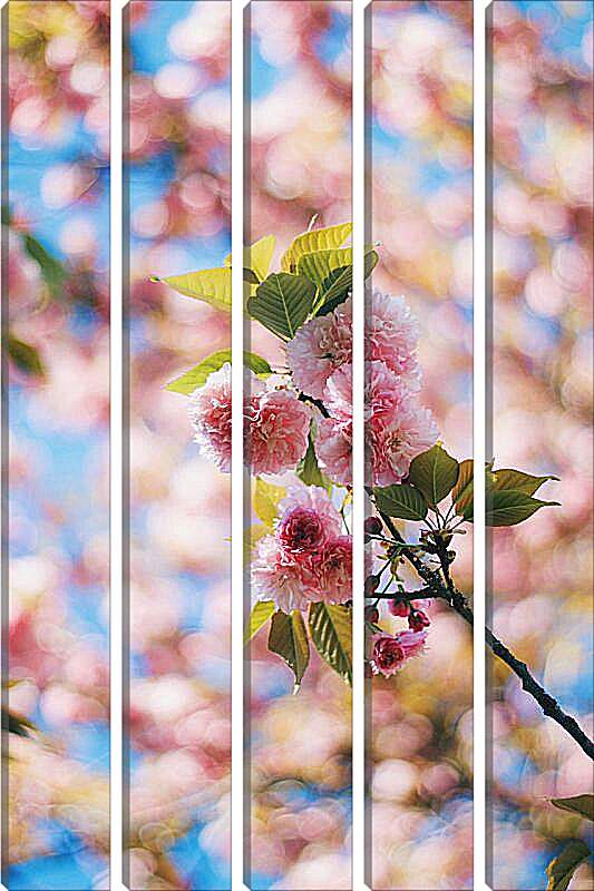 Модульная картина - Сакура цветет