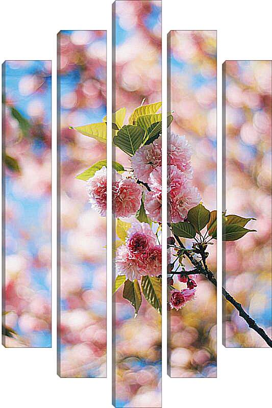 Модульная картина - Сакура цветет