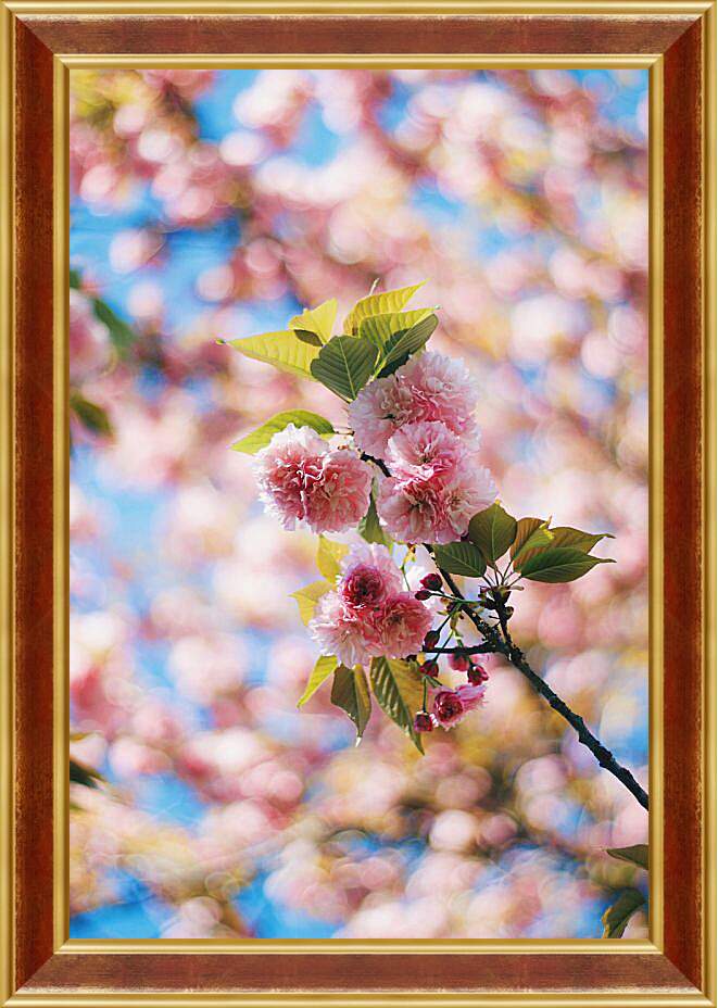 Картина в раме - Сакура цветет