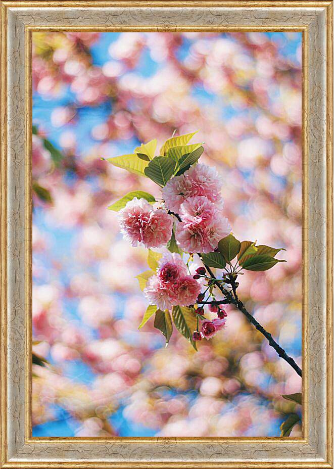 Картина в раме - Сакура цветет